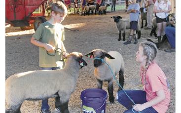 Press photos/Jake Browning - Above, Matthew Sadlowski and Carley Specht talk about how their lambs are doing in the 4H Lamb Club’s first practice.