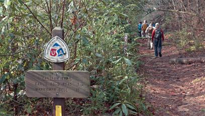 Photo submitted - Hikers walk the trail followed by 18th-century naturalist William Bartram.