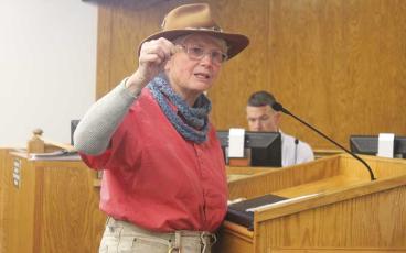 Press photo/Thomas Sherrill - Mary Ann Ingram speaks in favor of the quarter-of-a-cent sales tax during the public comment portion of the Tuesday, March 12, county commissioners meeting, holding up a penny to illustrate how the increase would only be a quarter of that.