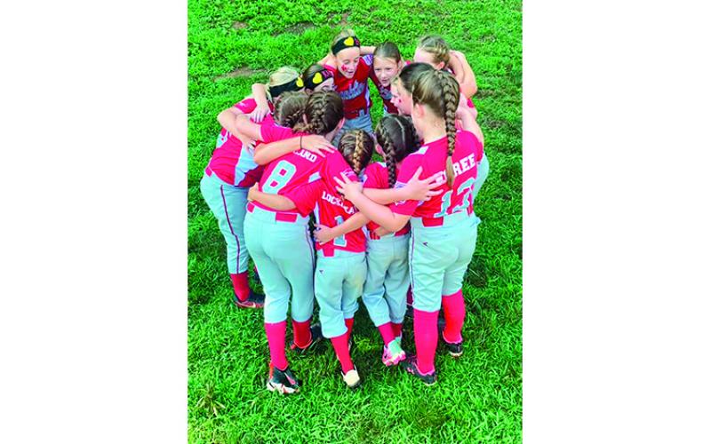 Photo Contributed - Franklin’s Little League Softball 8U All-Stars hold a players-only meeting at the State Championship tournament.